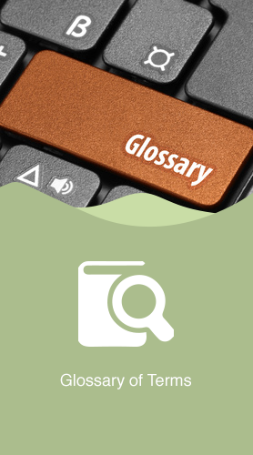Glossary